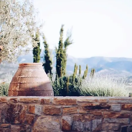 Ayiopetra Exclusive Getaways Landhaus