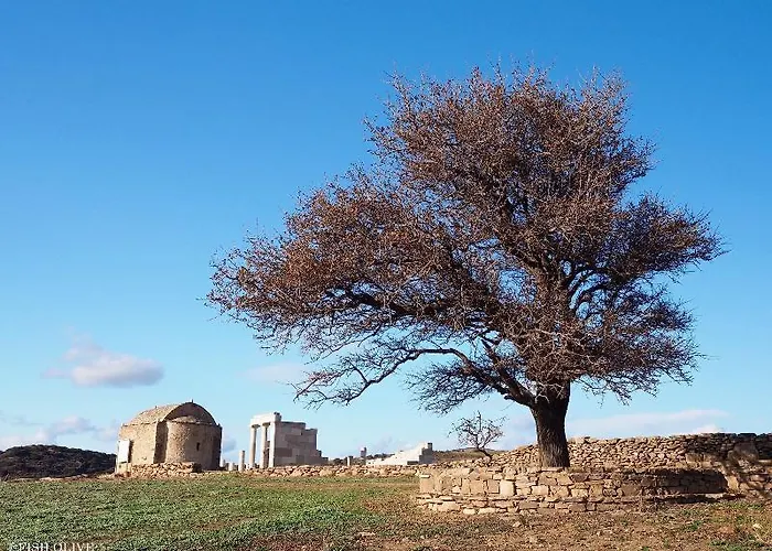 乡村民宿 Ayiopetra Exclusive Getaways Kato Sangrion