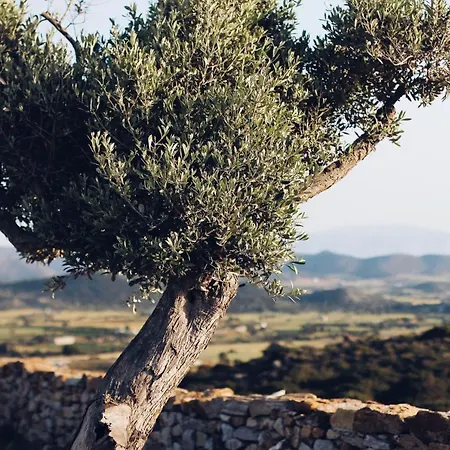 Ayiopetra Exclusive Getaways *