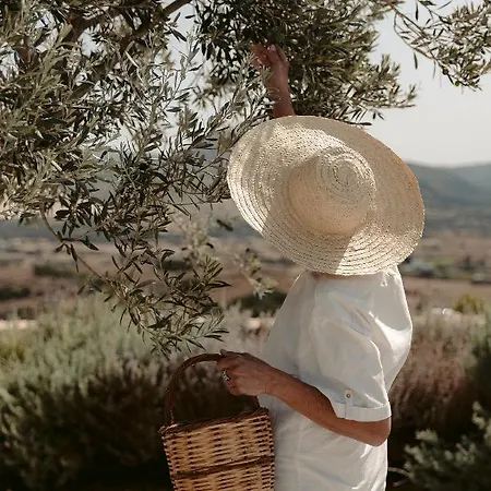 Ayiopetra Exclusive Getaways * Kato Sangrion