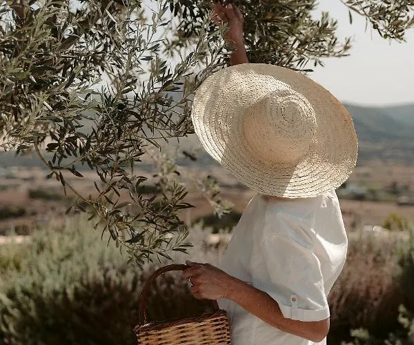 Ayiopetra Exclusive Getaways * Kato Sangrion